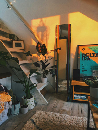 Home Décor