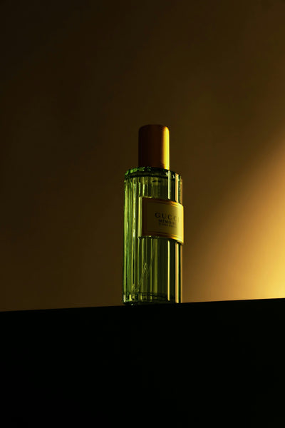 Diffusers & Aroma Oils - Shiny Leaf